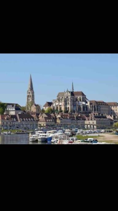 Bel Appart Au Bord De L'Eau Proche Gare Avec Wifi オセール エクステリア 写真